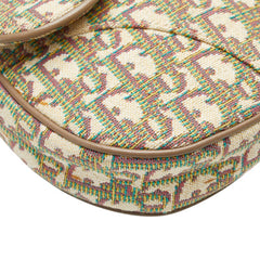 ディオール オブリーク サドルバッグ ボディバッグ ショルダーバッグ ベージュ マルチカラー キャンバス レザー レディース Dior 【中古】