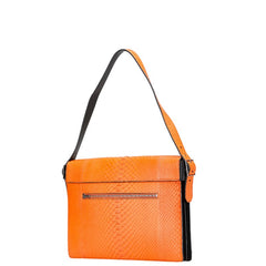 セリーヌ ワンショルダーバッグ マルチカラー レザー パイソン レディース CELINE 【中古】