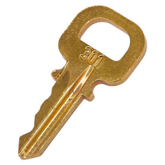 ルイ ヴィトン カデナ 南京錠 キー セット ゴールド メッキ レディース LOUIS VUITTON 【中古】