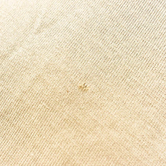 バーバリー ロゴ クルーネック 半袖Tシャツ カットソー サイズ SP ベージュ コットン ポリウレタン レディース BURBERRY 【中古】