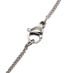 シャネル ココマーク ネックレス シルバー メタル レディース CHANEL 【中古】