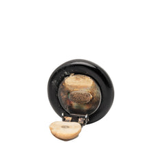 シャネル ココマーク イヤリング ブラック ゴールド プラスチック メタル レディース CHANEL 【中古】