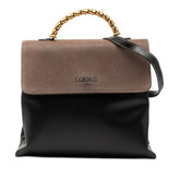 ロエベ ベラスケス ハンドバッグ ショルダーバッグ 2WAY ブラック ブラウン レザー レディース LOEWE 【中古】