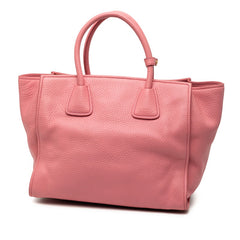 プラダ 三角ロゴプレート ハンドバッグ ショルダーバッグ 2WAY ピンク ヴィッテロダイノレザー レディース PRADA 【中古】