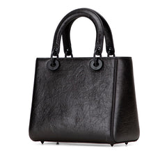 ディオール レディディオール エッフェル塔 ハンドバッグ ショルダーバッグ 2WAY ブラック ホワイト レザー レディース Dior 【中古】