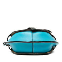 ロエベ ゲート ミニ フローラル 斜め掛け ショルダーバッグ ポシェット ブルー マルチカラー レザー レディース LOEWE 【中古】