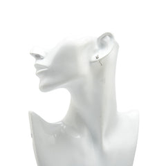 Pt900 プラチナ ダイヤ ネジ式 イヤリング レディース 【中古】