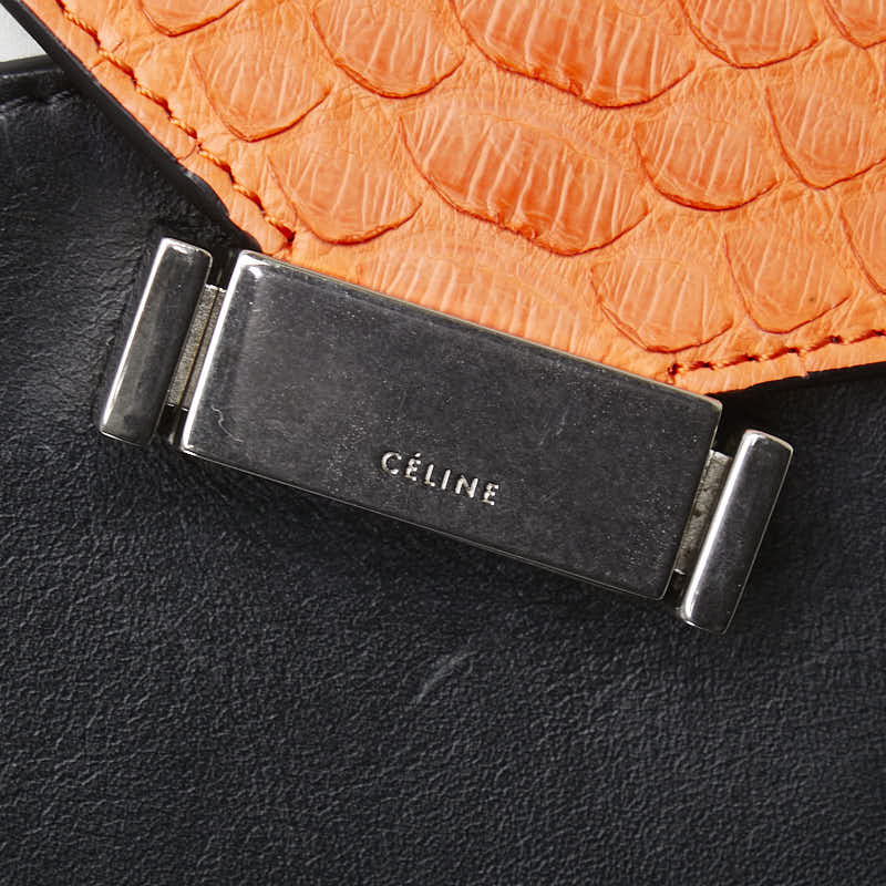 セリーヌ ワンショルダーバッグ マルチカラー レザー パイソン レディース CELINE 【中古】