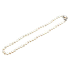 シルバー アコヤパール6.5～7mm ネックレス レディース 【中古】