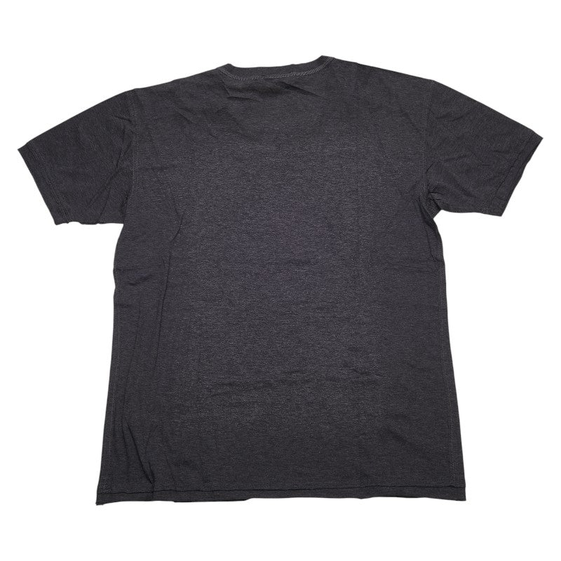 ドルチェアンドガッバーナ 聖母マリア Tシャツ サイズ:46 グレー コットン メンズ DOLCE&GABBANA 【中古】