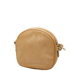 クリスチャンディオール トロッター 斜め掛け ショルダーバッグ ブラウン PVC レザー レディース Christian Dior 【中古】