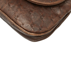 グッチ チェーン ショルダーバッグ 251820 ブラウン オーストリッチ レディース GUCCI 【中古】