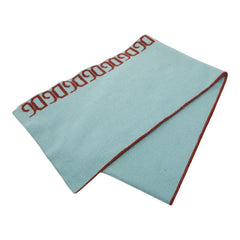 ドルチェアンドガッバーナ ロゴ マフラー ライトブルー ブラウン ウール アクリル レディース DOLCE&GABBANA 【中古】