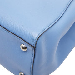 フェンディ プチトゥージュール ハンドバック ショルダーバッグ 2WAY 8BH253 ブルー レザー レディース FENDI 【中古】