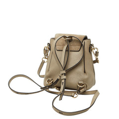 クロエ フェイ リュック バックパック ハンドバッグ 2WAY グレージュ レザー スウェード レディース Chloe 【中古】