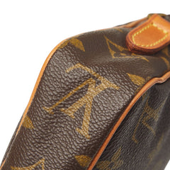ルイ ヴィトン モノグラム ミニダヌーブ 斜め掛け ショルダーバッグ M45268 ブラウン PVC レザー レディース LOUIS VUITTON 中古