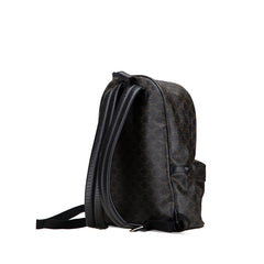 セリーヌ トリオンフ リュック バッグパック ブラック ブラウン PVC レザー レディース CELINE 【中古】