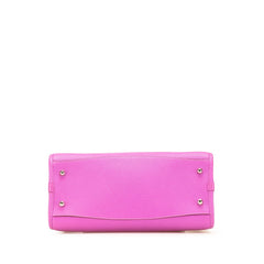 ロエベ アナグラム アラモ28 ショルダーバッグ ハンドバッグ 2WAY パープル レザー レディース LOEWE 【中古】