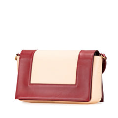 セリーヌ フレーム ミディアム ワンショルダーバッグ ベージュ ボルドー レザー レディース CELINE 【中古】