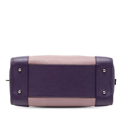 ロエベ アナグラム アマソナ28 ハンドバッグ パープル ピンク レザー レディース LOEWE 【中古】